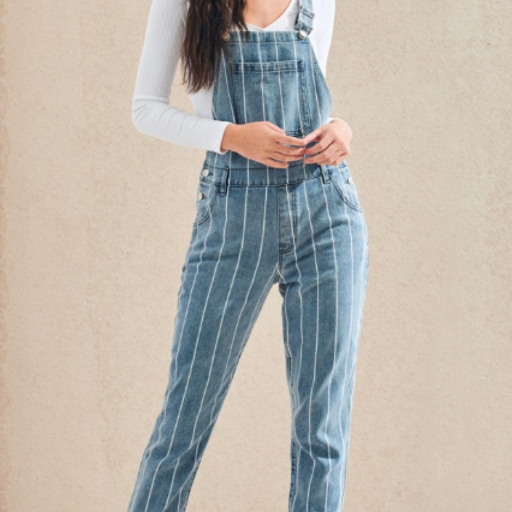 PacSun Window Pane Overalls - Picture 5 of 5